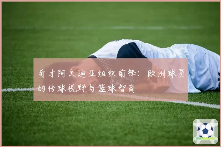奇才阿夫迪亚组织前锋：欧洲球员的传球视野与篮球智商