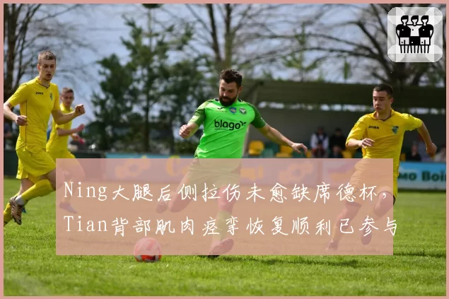 Ning大腿后侧拉伤未愈缺席德杯,Tian背部肌肉痉挛恢复顺利已参与队内训练