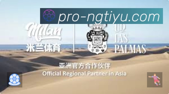 奖项证书